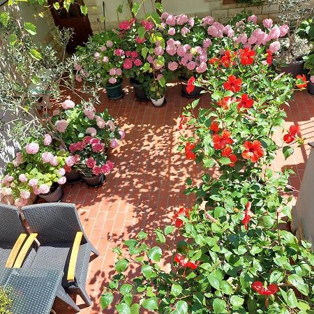 Apartment Eli باغ المظهر الخارجي الصورة