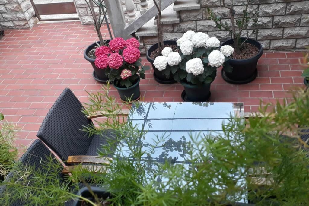 Apartment Eli باغ المظهر الخارجي الصورة