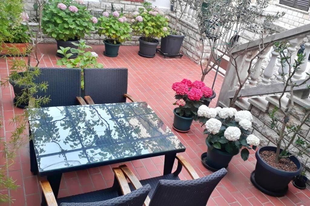 Apartment Eli باغ المظهر الخارجي الصورة