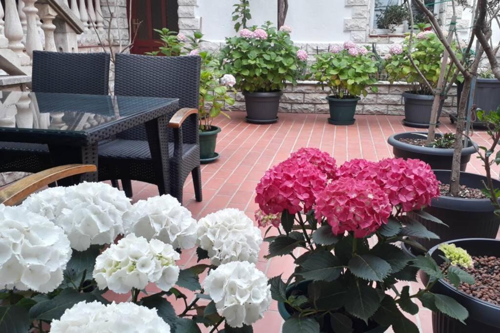 Apartment Eli باغ المظهر الخارجي الصورة