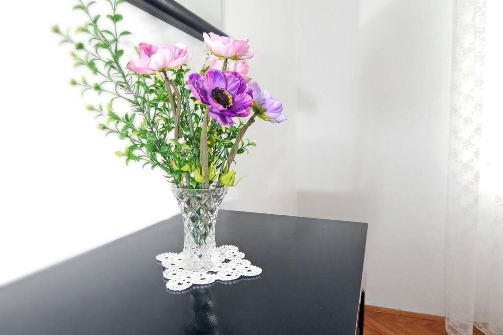 Apartment Eli باغ المظهر الخارجي الصورة