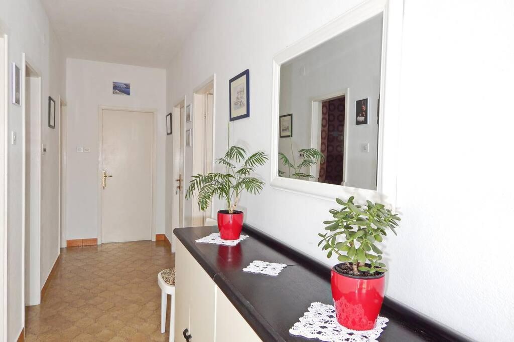 Apartment Eli باغ المظهر الخارجي الصورة