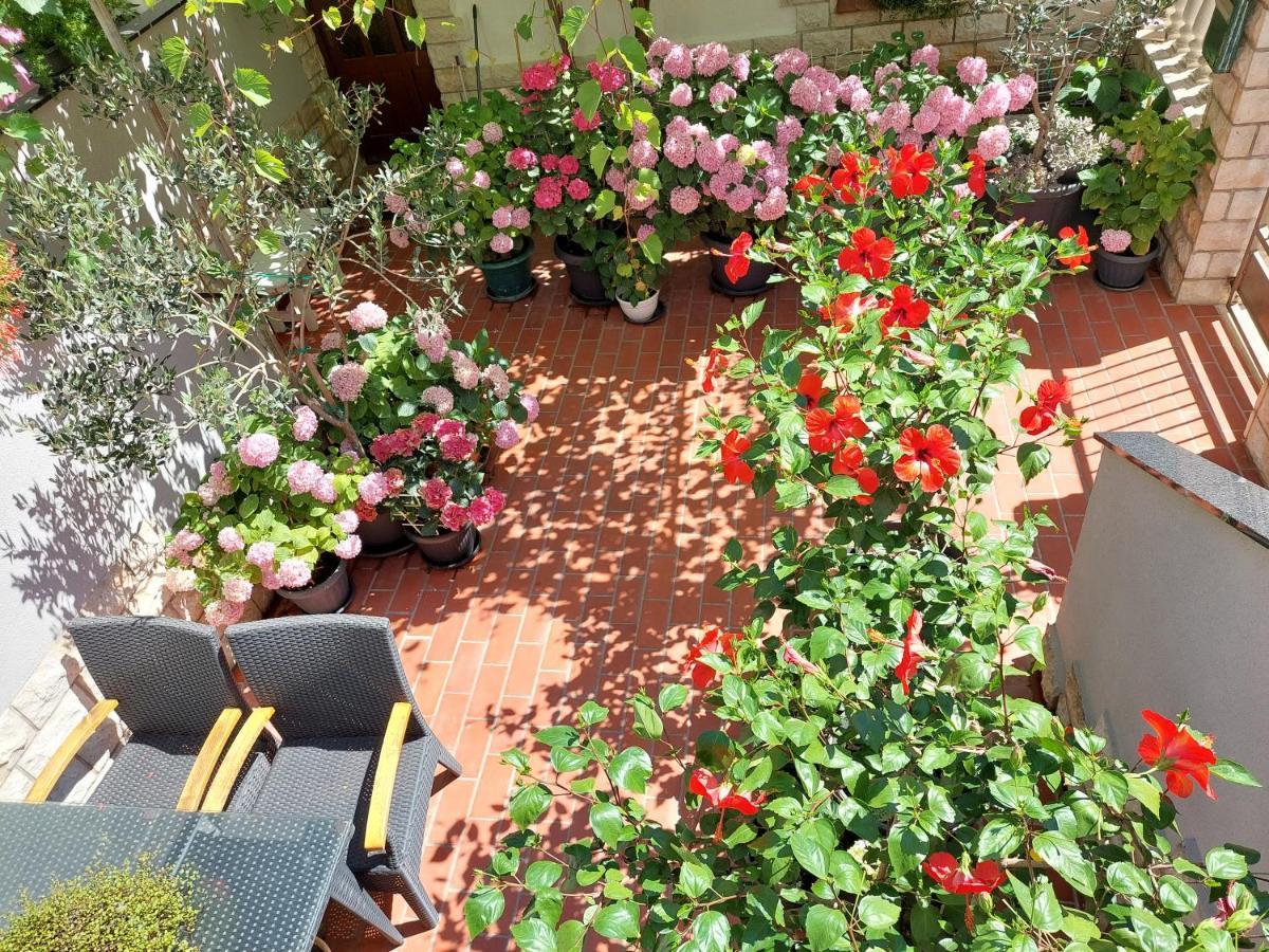 Apartment Eli باغ المظهر الخارجي الصورة