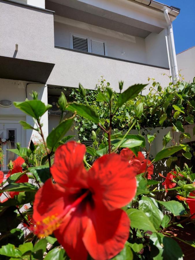 Apartment Eli باغ المظهر الخارجي الصورة