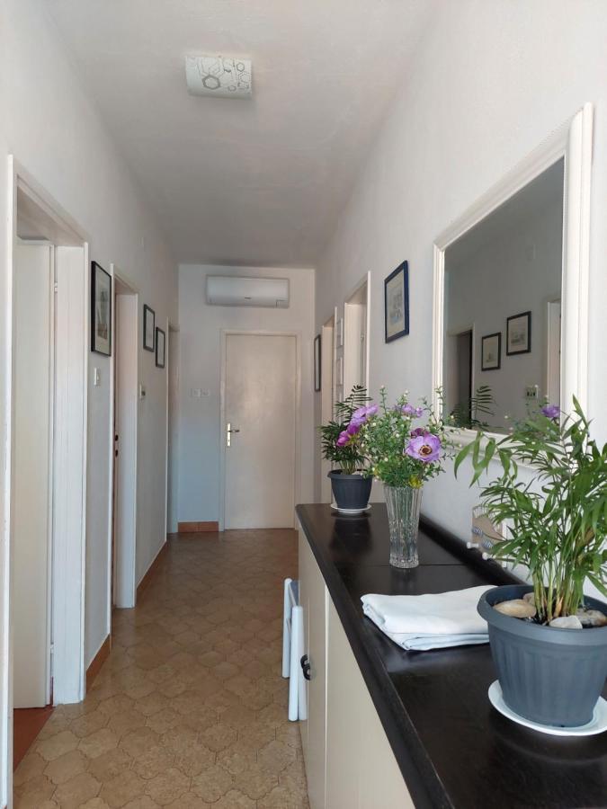 Apartment Eli باغ المظهر الخارجي الصورة
